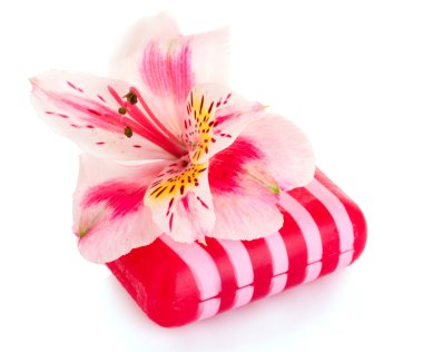 Pembe çiçek ve üzerinde beyaz izole sabun