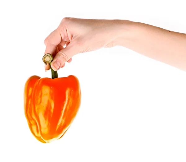 Röd paprika i hand isolerad på vit — Stockfoto
