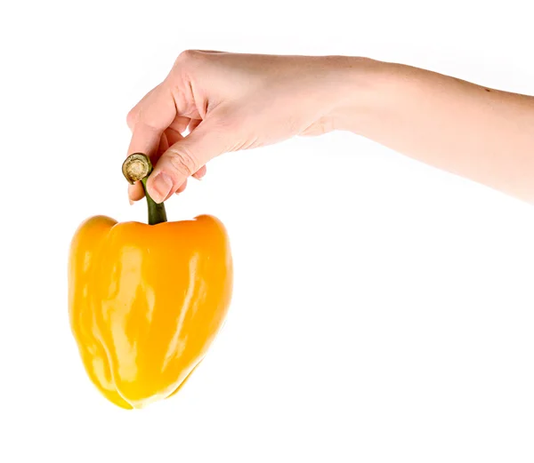 Orange peppar i hand isolerade på vit — Stockfoto