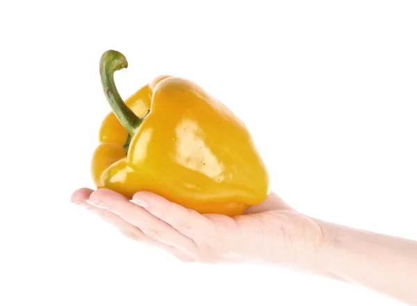 Orange peppar i hand isolerade på vit — Stockfoto