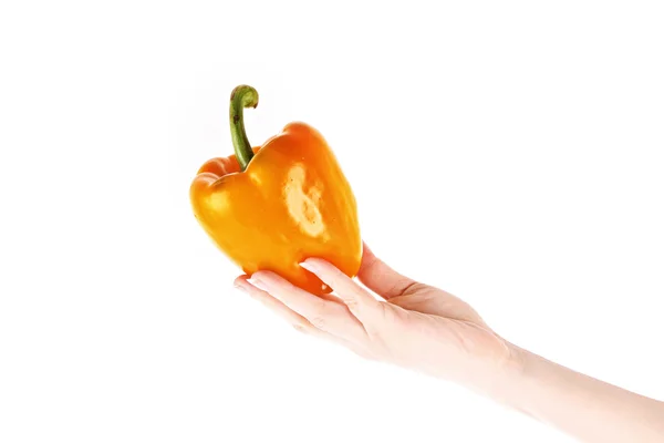 stock image Red pepper in hand isolated on white