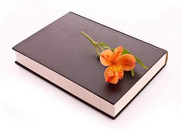 Hardcover-Buch mit Blume isoliert auf weiß — Stockfoto