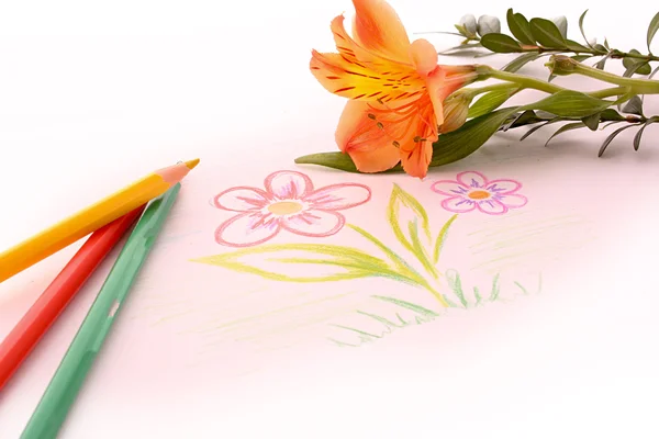 Dětský výkresu tužky na kterém jsou nakreslena květ — Stock fotografie