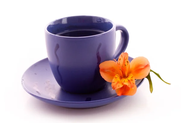 Tazza di caffè e fiori isolati su bianco — Foto Stock