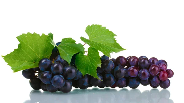 Uvas maduras isoladas a branco — Fotografia de Stock