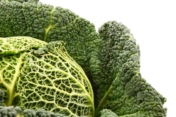 stock image Savoy cabbage isolated on white