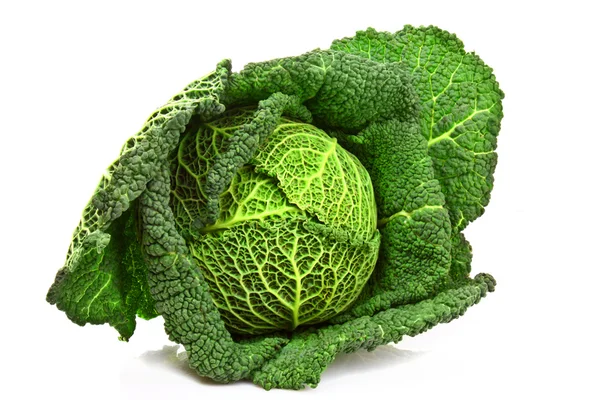 Stock image Savoy cabbage isolated on white