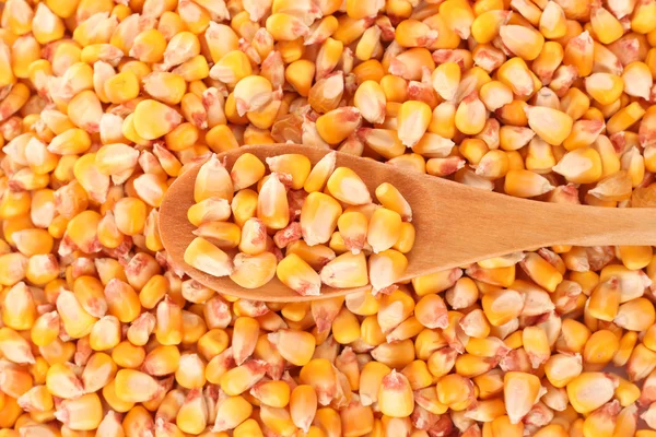 Corn and wooden spoon — Stock Photo, Image