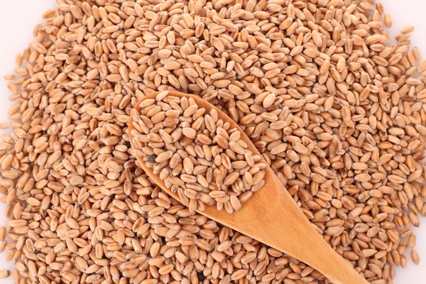 Wheat and spoon — Stock Photo, Image