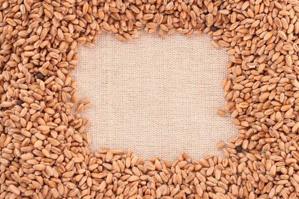 Buğday dokular — Stok fotoğraf
