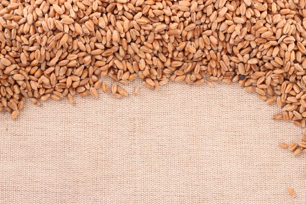 Wheat on tissue — Stock Photo, Image