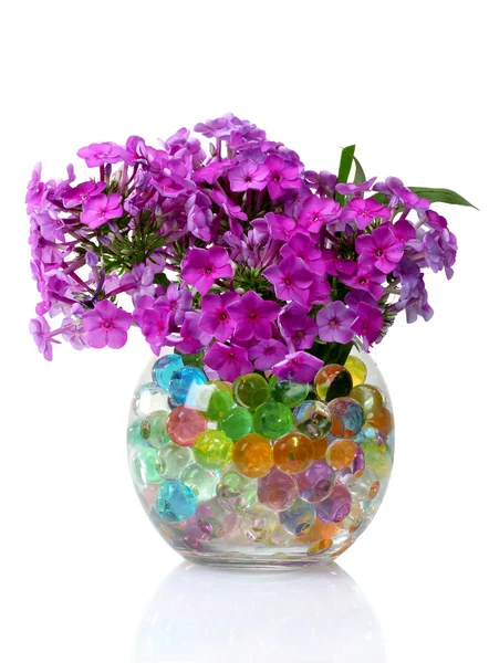 Flori frumoase în vază — Fotografie, imagine de stoc