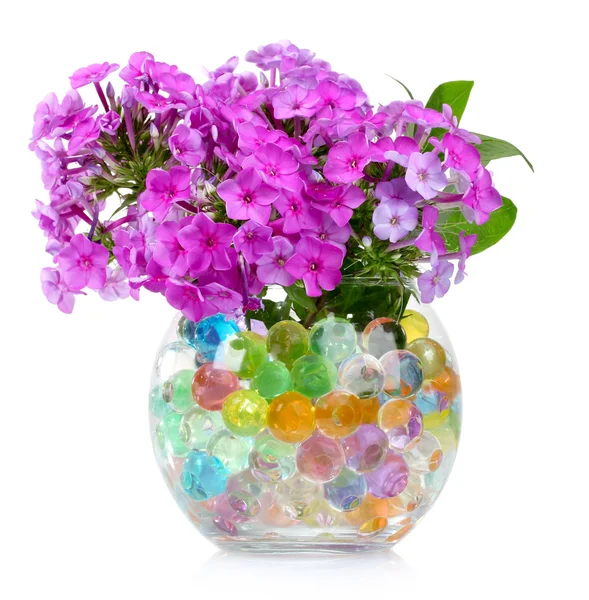 stock image Beautiful flowers in vase