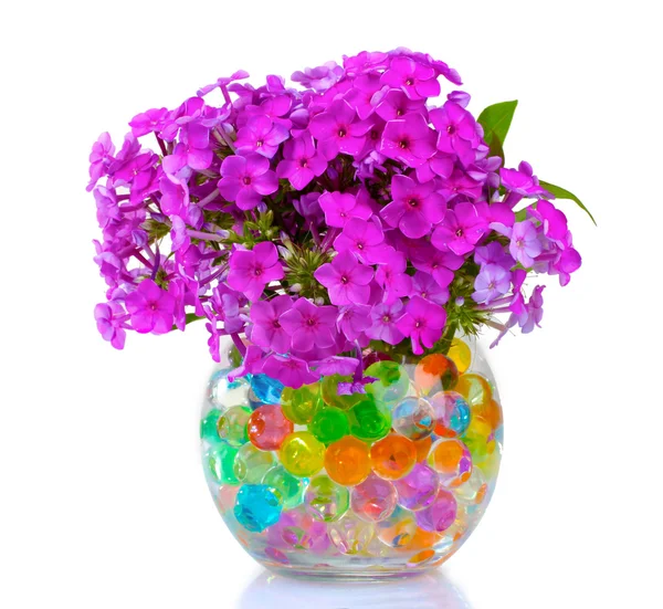 Beautiful flowers in vase — Stock Photo, Image