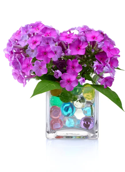 Lindas flores em vaso — Fotografia de Stock