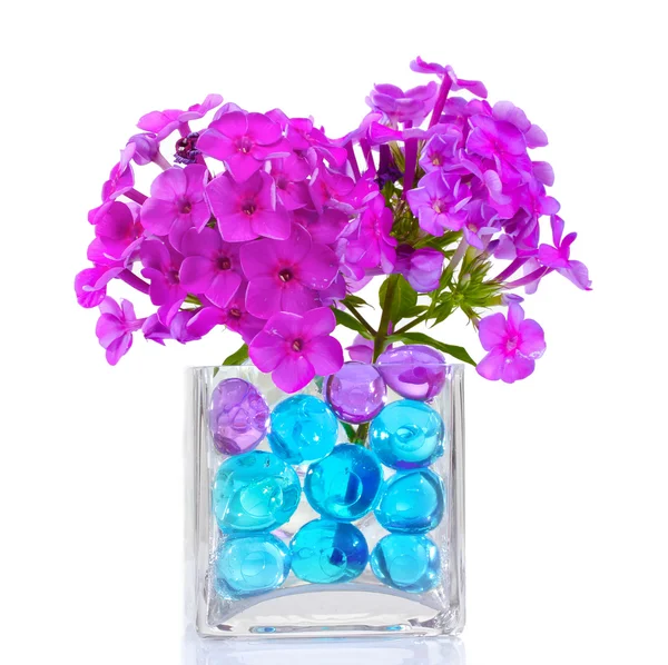 Piękne kwiaty w wazon — Zdjęcie stockowe