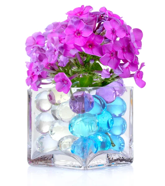 Krásné květiny ve váze — Stock fotografie