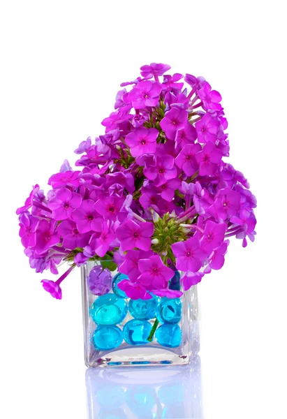 꽃병에 아름 다운 꽃 — 스톡 사진