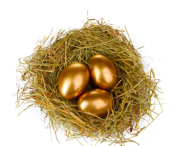 Zlatá vejce v hnízdě — Stock fotografie