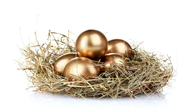 Ovos dourados no ninho — Fotografia de Stock