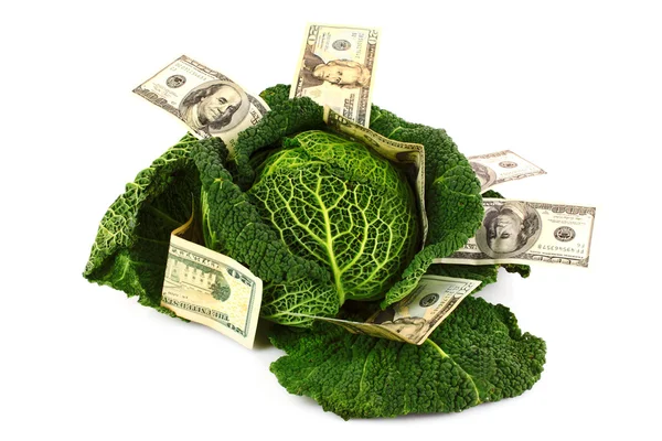 Savvoy cabbage with dollar banknotes isolated on white — Stock Photo, Image