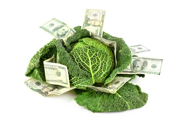 Savvoy cabbage with dollar banknotes isolated on white — Stock Photo, Image