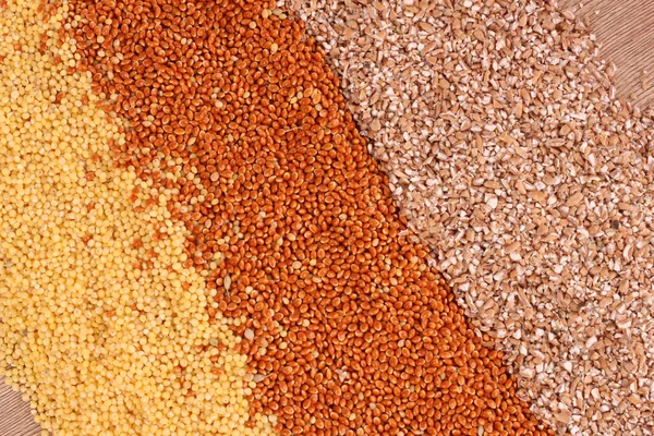Grains on brown — Stock Photo, Image