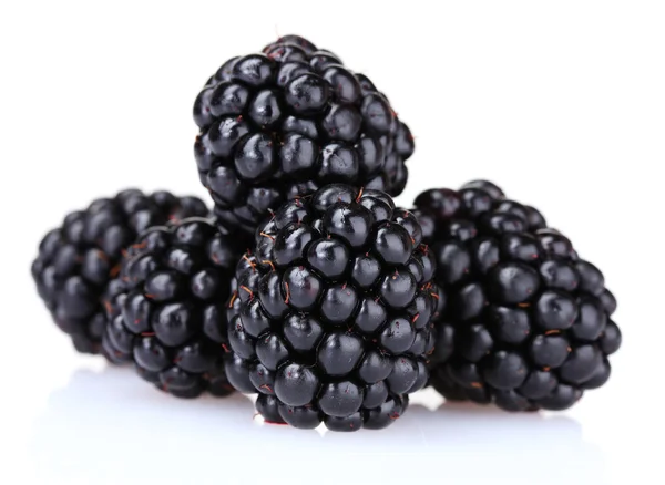 美丽的黑莓 — 图库照片