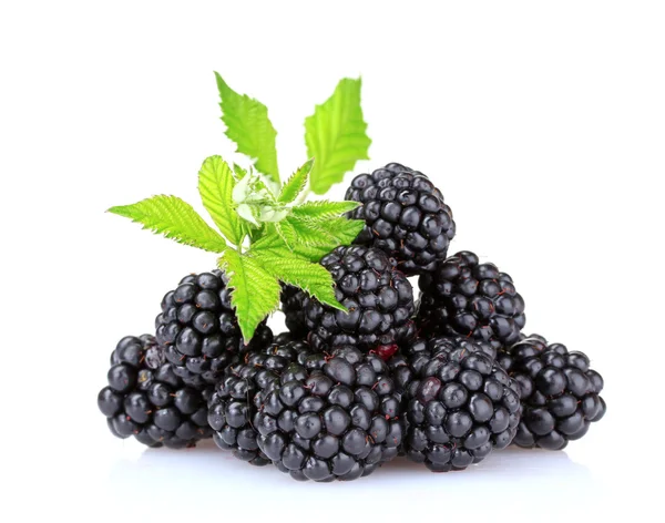 美丽的黑莓 — 图库照片