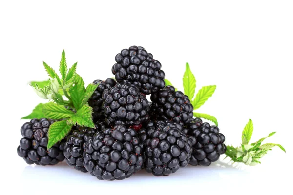 Beautiful blackberries — Stok fotoğraf