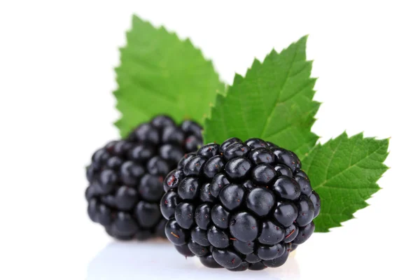 Черные ягоды — стоковое фото