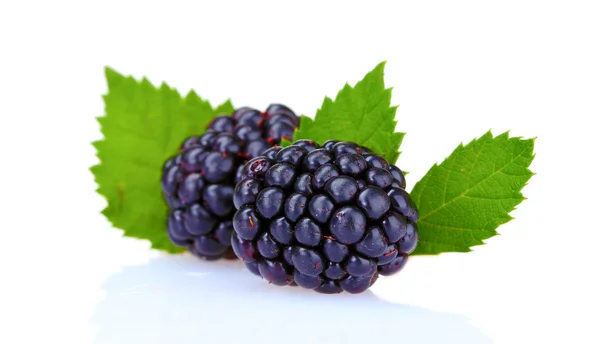 Beautiful blackberries — Stock Photo, Image