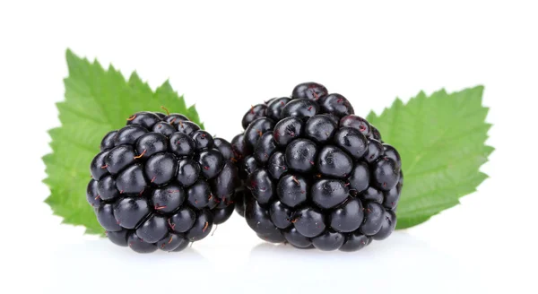 아름 다운 검은 딸기 — 스톡 사진