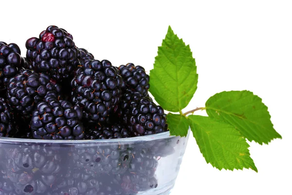 Beautiful blackberries in glass — Stock Photo, Image