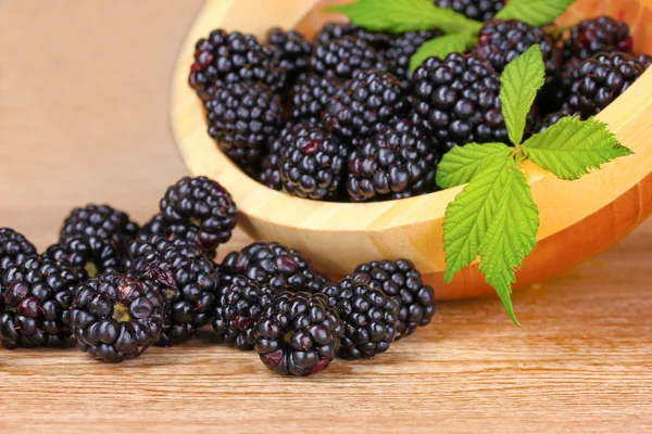 木碗里的美丽黑莓 — 图库照片
