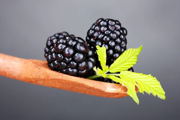 Beautiful blackberries in wooden spoon — Stock Photo, Image