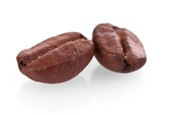 Två kaffebönor närbild isolerad på vit — Stockfoto