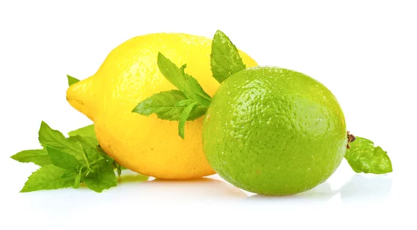 Fresh lime, lemon and mint — Stock Photo, Image