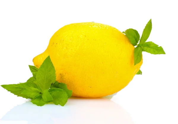 Taze limon ve nane — Stok fotoğraf
