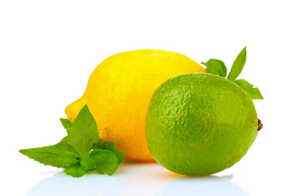 Frische Limette, Zitrone und Minze — Stockfoto