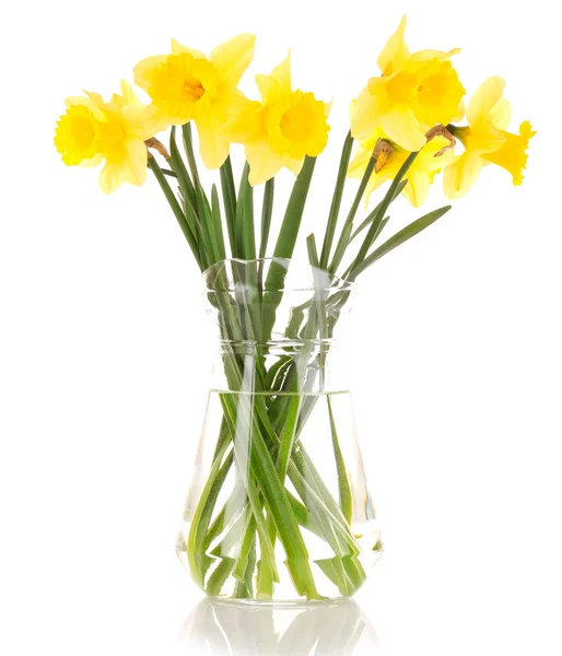 白で隔離される花瓶に黄色い水仙 — ストック写真
