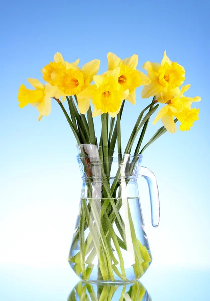 Κίτρινο daffodils σε ένα βάζο σε μπλε φόντο — Φωτογραφία Αρχείου