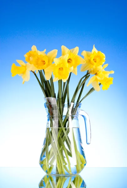 Narcisos amarillos en un jarrón sobre fondo azul —  Fotos de Stock