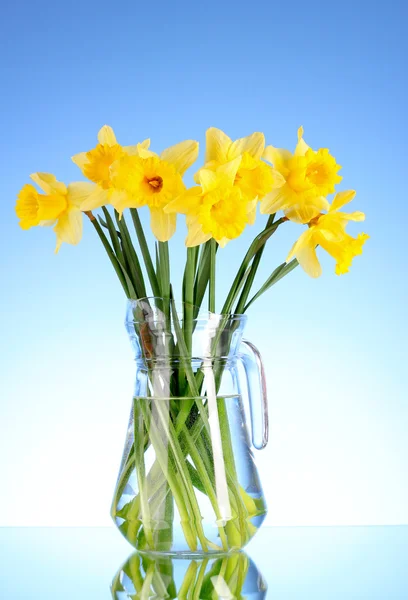 蓝色背景上的花瓶里的黄色水仙 — 图库照片