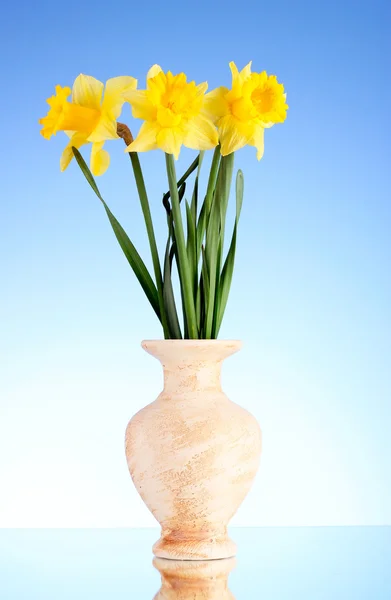 Gelbe Narzissen in einer Vase auf blauem Hintergrund — Stockfoto