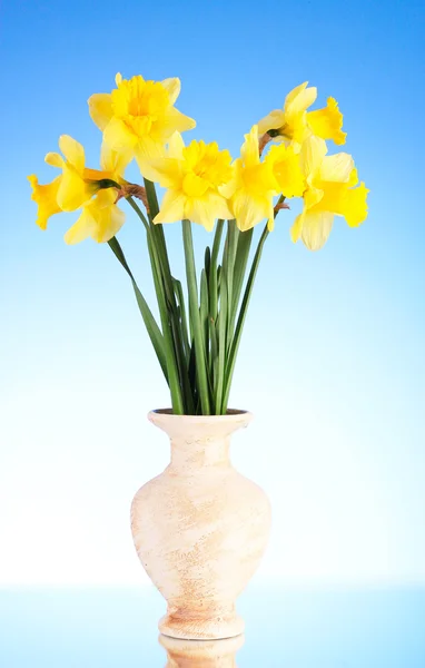Mavi zemin üzerine bir vazoda sarı nergis — Stok fotoğraf
