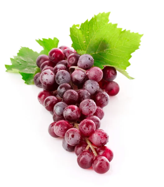 Aglomerado de uvas rosa isolado em branco — Fotografia de Stock