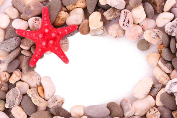 红海星鹅卵石背景上 — 图库照片