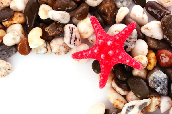 Rode seastar op pebble achtergrond — Stockfoto