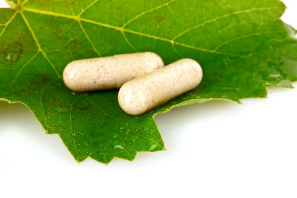 Piller på blader isolert på hvitt – stockfoto